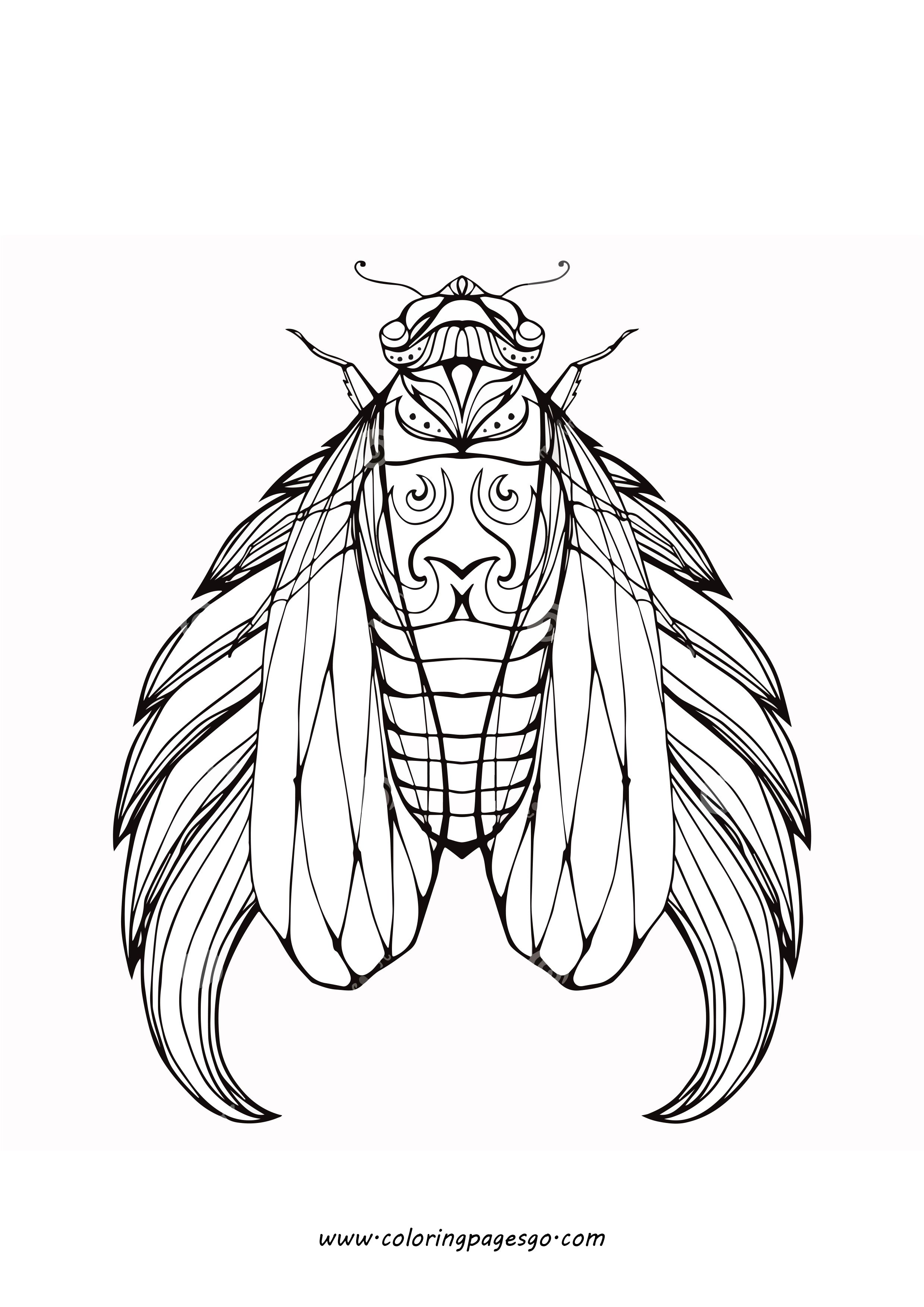 Cicada mandala