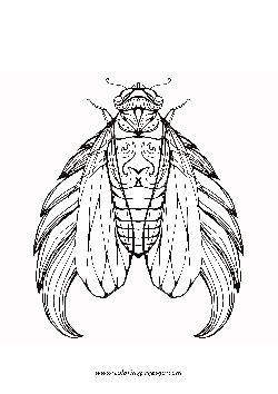 Cicada mandala coloring page