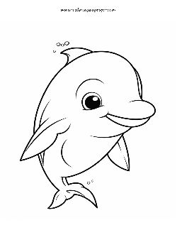 Baby Dolphin coloring page