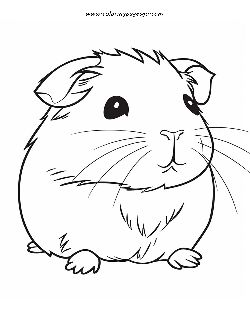 Baby Guinea Pig coloring page