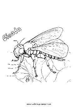 Cicada with flowers coloring page